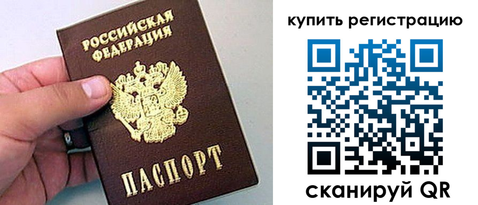 где прописаться в Тосно