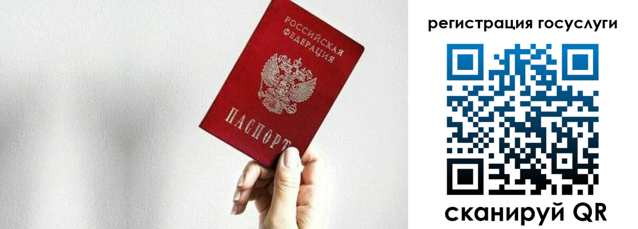 прописка гарантия в Тосно